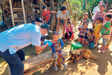 Photo 4. Details in caption.