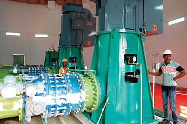 Photo 2. Details in caption.