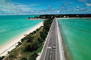 Photo 4. Details in caption.