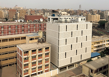 Photo 5. Details in caption.