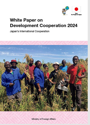 Photo of “White Paper on Development Cooperation 2024 cover”