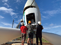 Photo 2. Details in caption.