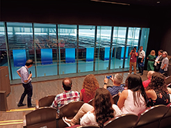 Photo 1. Details in caption.