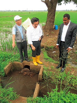 Japan's Project for Supporting Rice Industry Development in Tanzania “TANRICE”/Inspection of the local site by State Minister for Foreign Affairs Sato (August 2, Kilimanjaro, Tanzania)