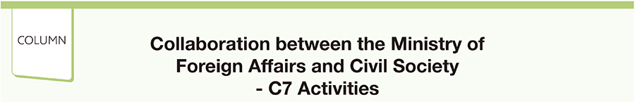 Collaboration between the Ministry of Foreign Affairs and Civil Society - C7 Activities