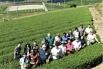 Foreign diplomatic corps visiting the Yame Central Tea Plantation (Diplomats' Study Tour) (June 7, Yame City, Fukuoka Prefecture)
