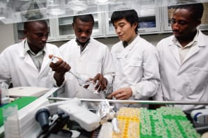 Men studying the new coronavirus