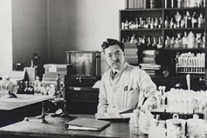 Hideyo Noguchi sitting