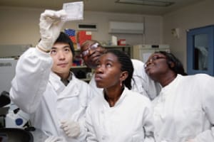 Men and women studying the new coronavirus