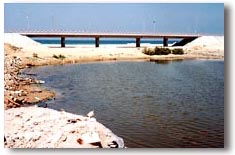 Wadi Gaza