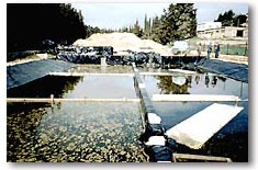 Al-Arroub Wastewater Treatment Facilities