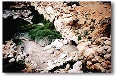 Hebron Wastewater Discharge Area